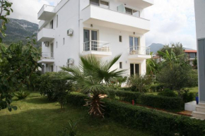  Hotel Ionian  Дерми